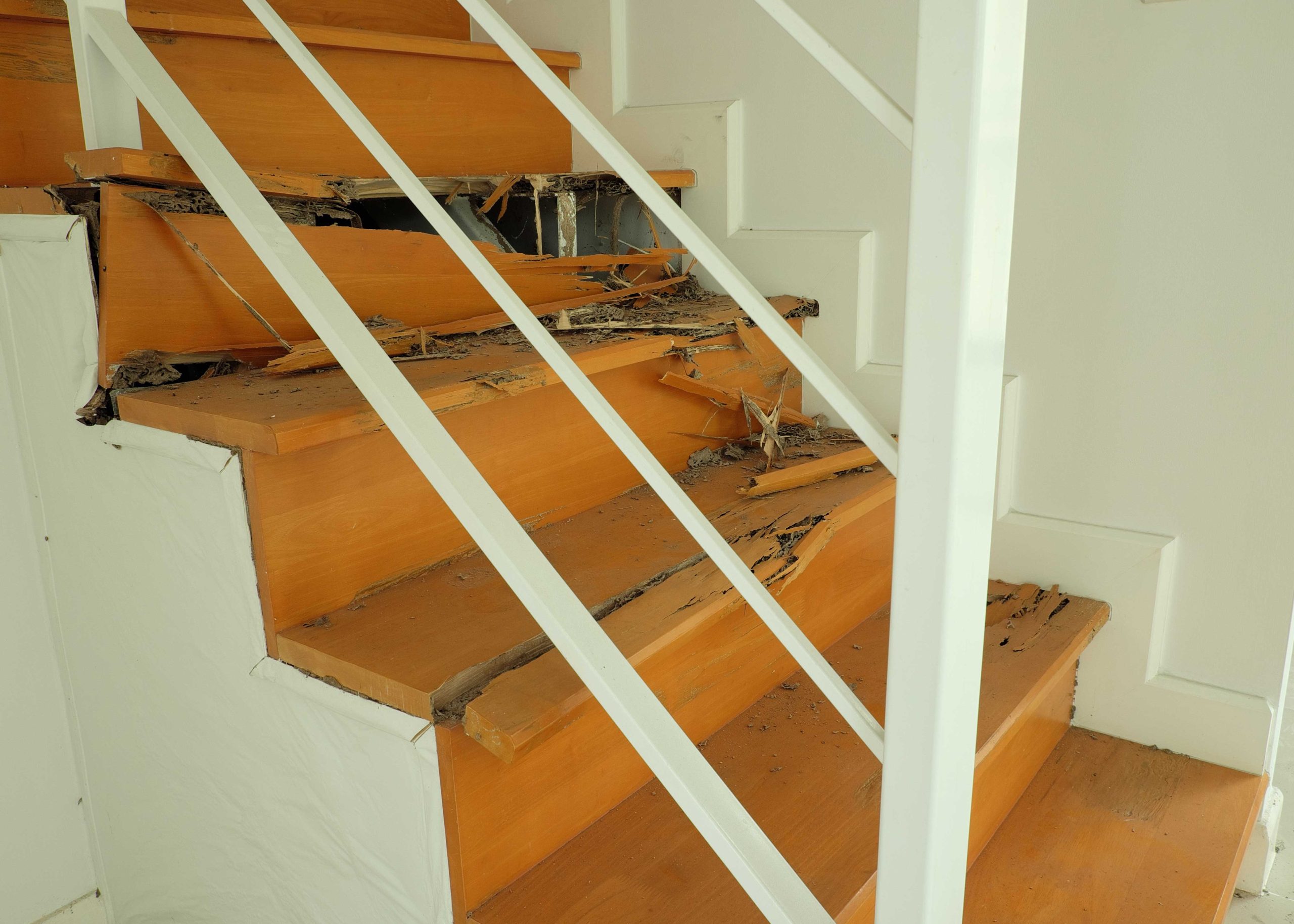 termite control concord